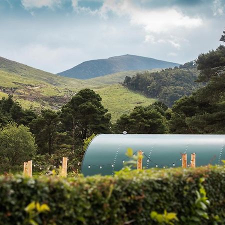 Further Space At Leitrim Lodge Luxury Glamping Pods Mourne Mountains Newcastle  Eksteriør billede